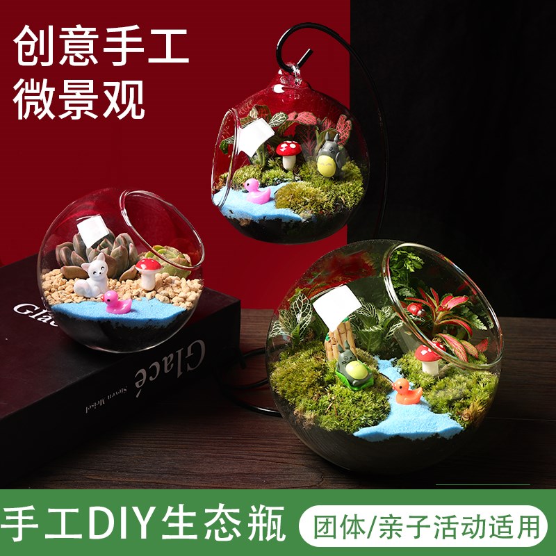 【暖场活动】微景观生态瓶多肉植物diy材料玻璃盆栽 摆件礼品套装