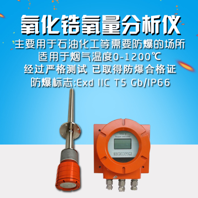 氧化锆氧量分析仪  氧化锆分析仪   锅炉氧量分析仪表ZO-4氧