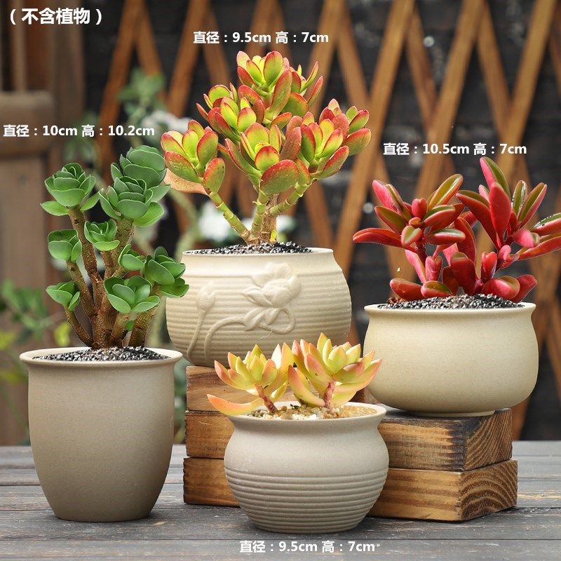 粗陶素烧多肉植物陶瓷花盆新款简约创意盆栽绿植拇指套装组合包邮