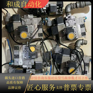 S32 407B01 冬斯阀MB VEF