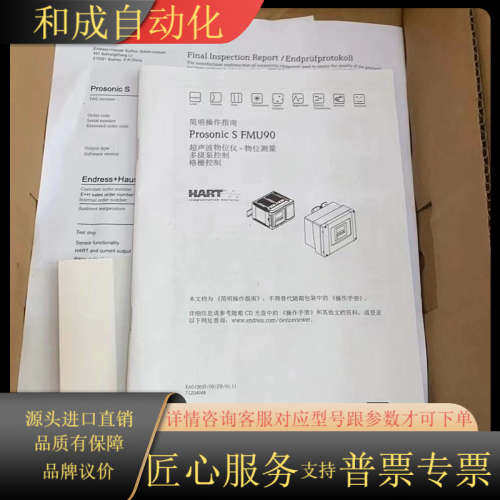 EH分体式超声波液位计FMU90-R11CA111AA