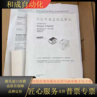 EH分体式 R11CA111AA 超声波液位计FMU90