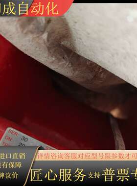 博雷BRAY蝶阀，S30系列，20寸，