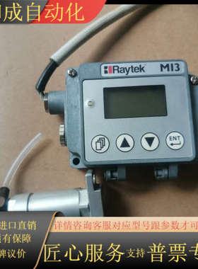 雷泰在线测温盒 Raytek M13 320，需要的