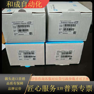 LH11C3 CPF81 EH电极CPF81 LH11C2