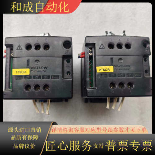 WATLOW瓦特隆 DB20-60C0-0000 ，