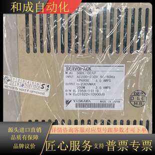 SGDL_02AP 200W议价