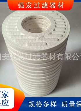 CJC精细滤芯PA5601302 BN27/27离线滤油机过滤器油除杂质真空泵