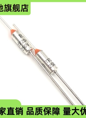 RY温度保险丝铁电饭煲热水器吹风机RY10A16A15A250VMIC保护器件