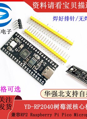 YD-RP2040树莓派核心板兼容RP2 Raspberry Pi Pico Micropython