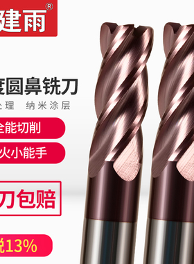 建雨60度圆鼻铣刀4刃钨钢铣刀紫色涂层牛鼻刀钨钢合金铣刀CNC刀具