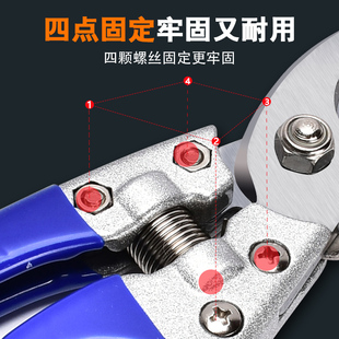 剪枝果树修枝剪刀园艺园林修花枝剪家用强力剪子神器花剪剪枝剪刀
