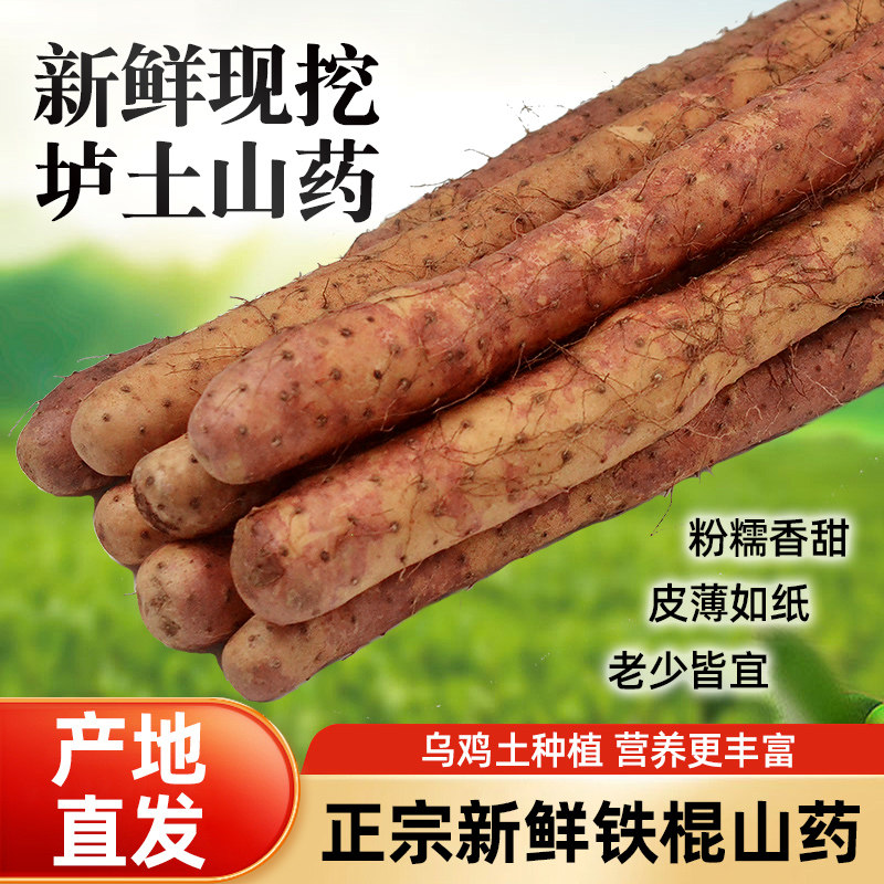 焦作温县铁棍怀山药新鲜5斤糯面甜正宗垆土产地铁杆淮怀山药特产