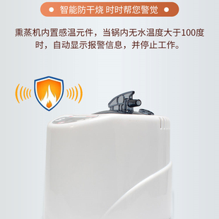 蒸汽机家用熏蒸机桑拿房汗蒸仪中药熏蒸一体机全身桑拿浴箱泡脚桶