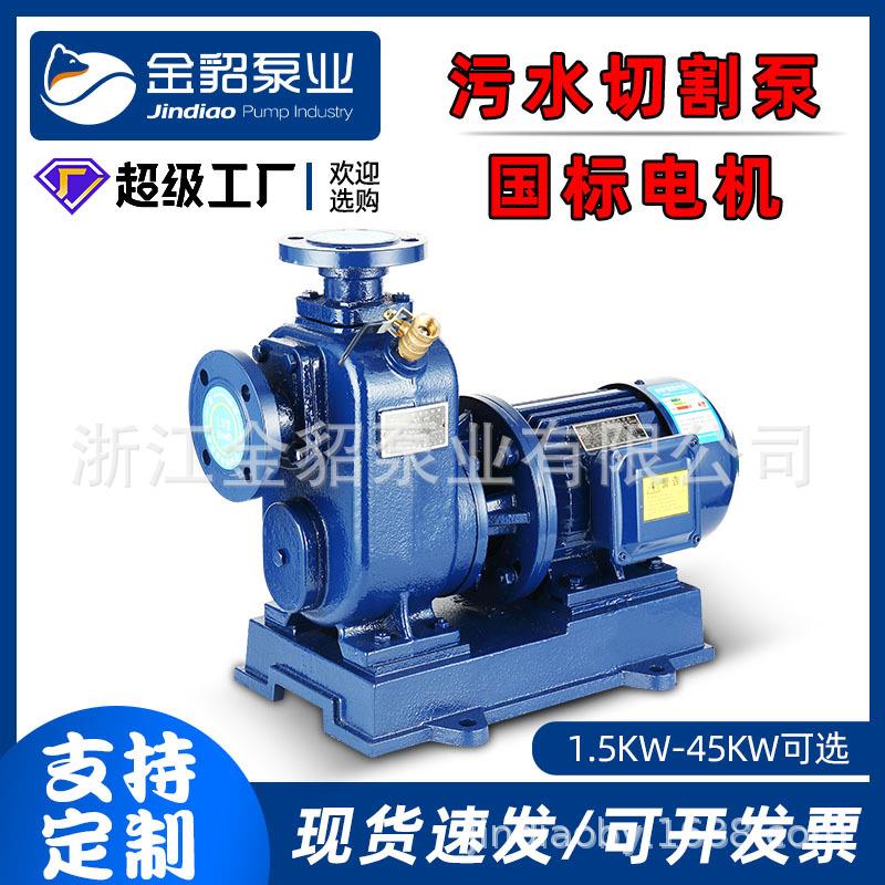 国标自吸泵BZ/ZW自吸污水泵增压泵喷淋喷灌大流量高压泵厂家