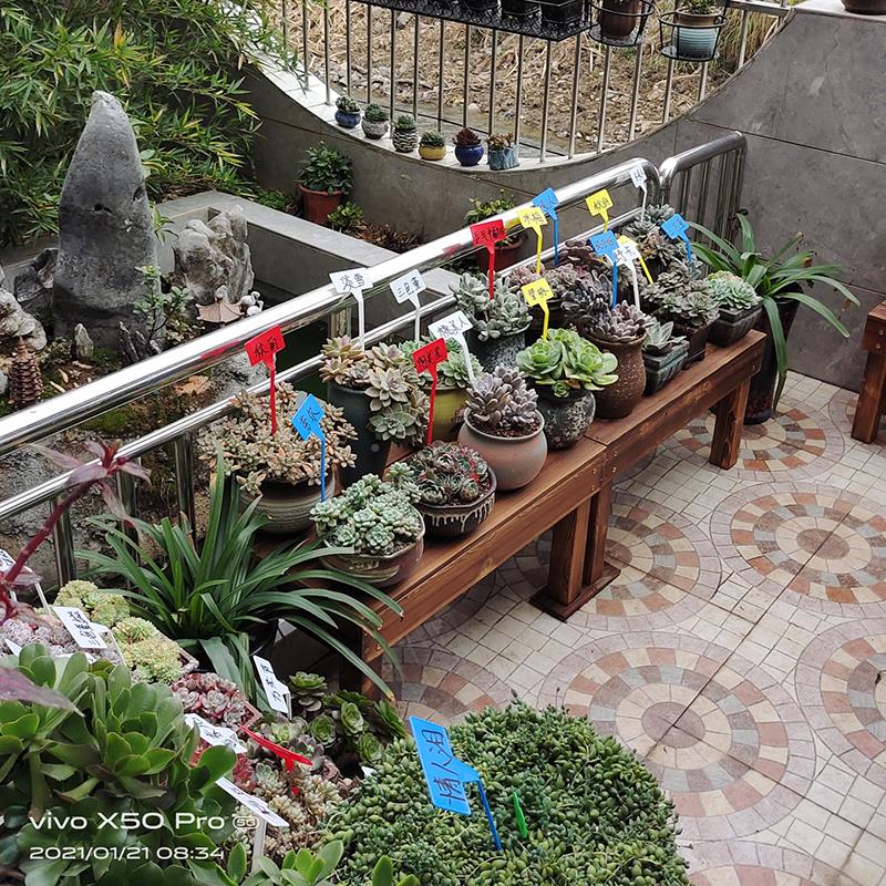 户外庭RTY院防腐木花盆支层台阶置质物架多肉架阳台长条凳多花架