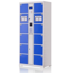 850mm G054 1800mm 460mm 刷卡12门电子存包柜主柜 臻远