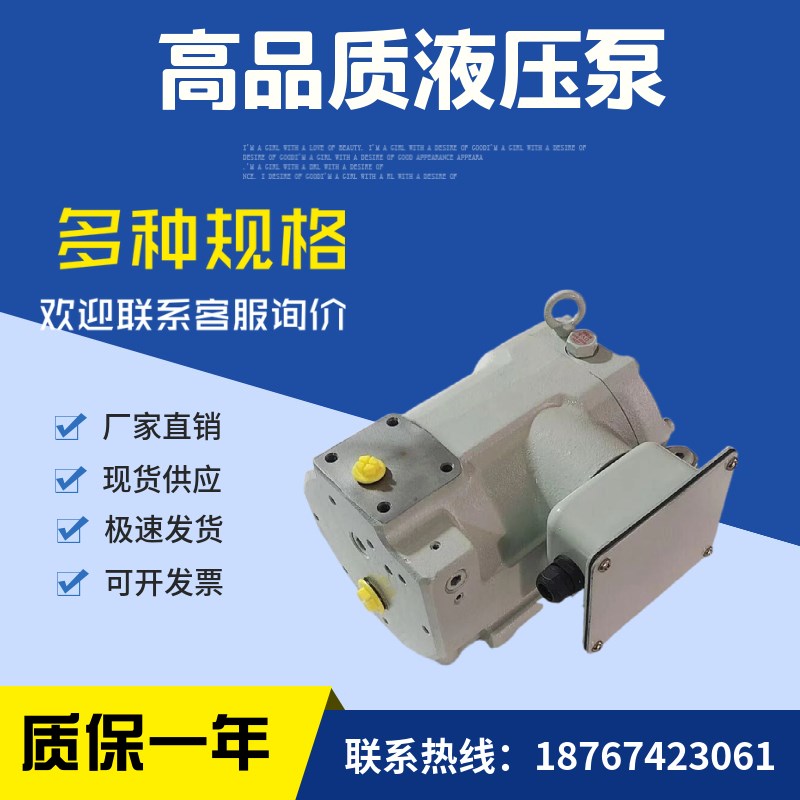 油泵RP15A1-22-30伺服RP15A2-22-30转子泵RP15A3-22-30