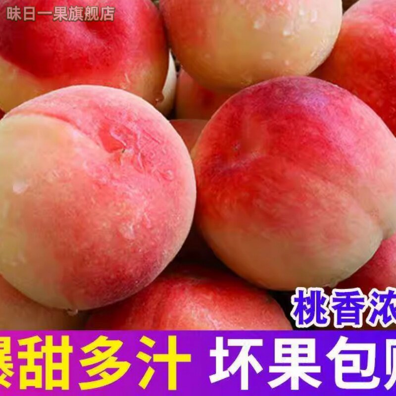 现摘脆桃子新鲜水果水蜜桃当季桃子孕妇脆甜毛桃时令大果整箱