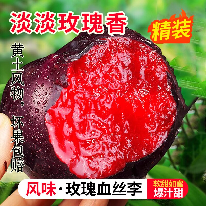 河南当季风味玫瑰大李子黑布林血丝李黑皮红肉水果恐龙蛋甜黑宝石