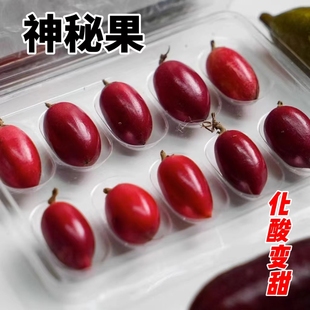 神秘果干12粒水果神奇果变味果应当季酸变甜稀罕见鲜果整箱包邮