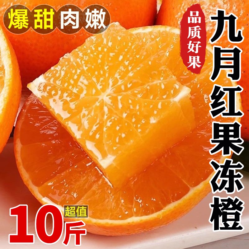 新鲜九月红橙子脐橙果冻橙现摘新鲜时令水果10斤整箱产地直发图片