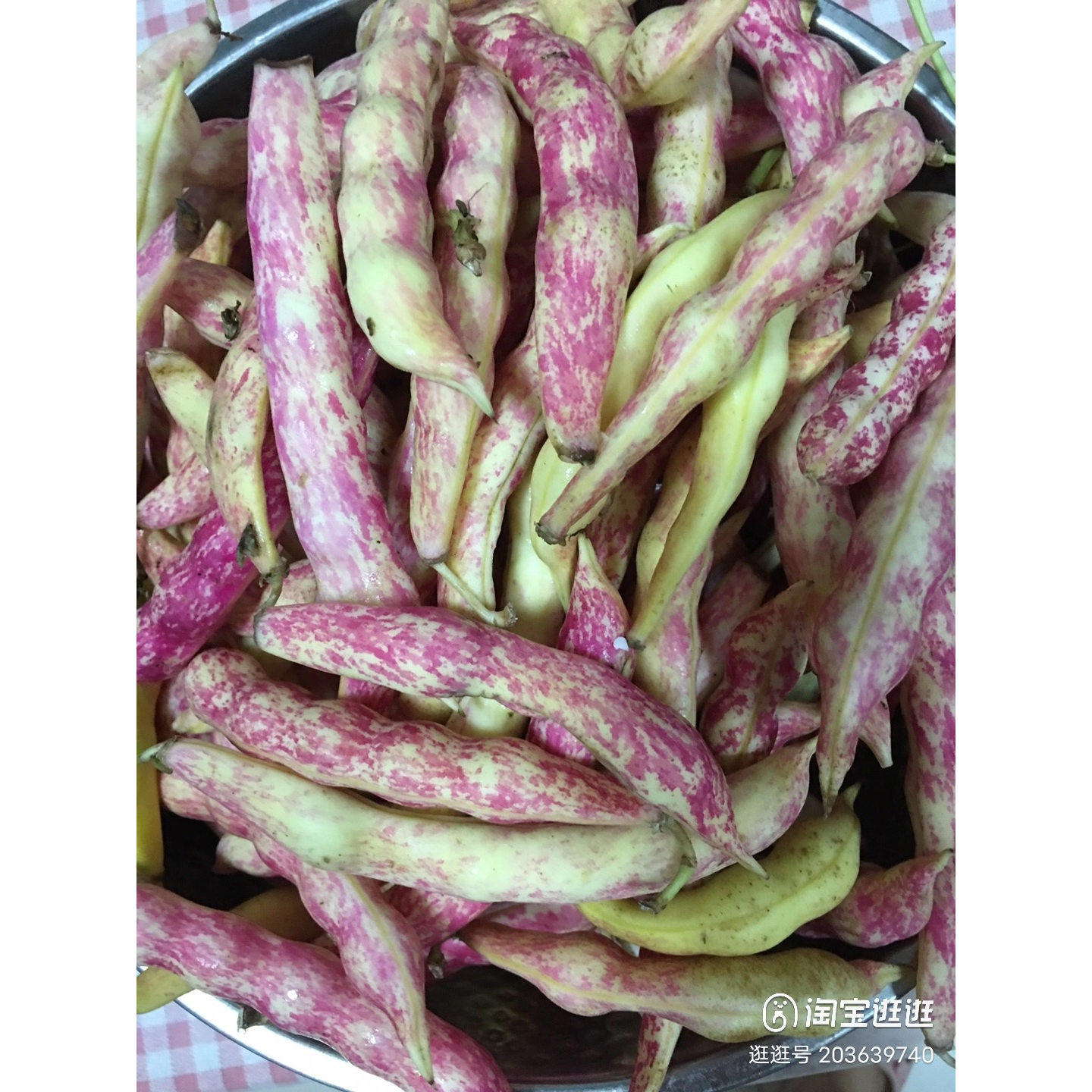 雀蛋豆云南花豆花芸豆奶花豆包邮,水产肉类/新鲜蔬果/熟食,其它,淘宝优惠券,粉丝福利购,淘宝优惠卷