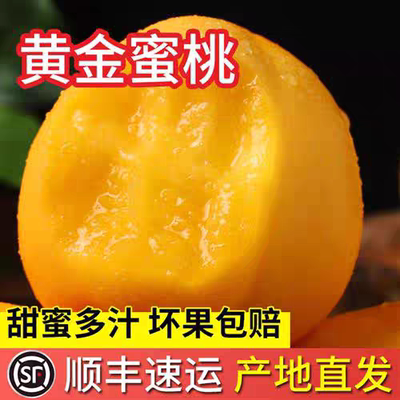 正宗山东黄金油桃蜜桃新鲜水果当季黄桃油桃子脆甜多汁