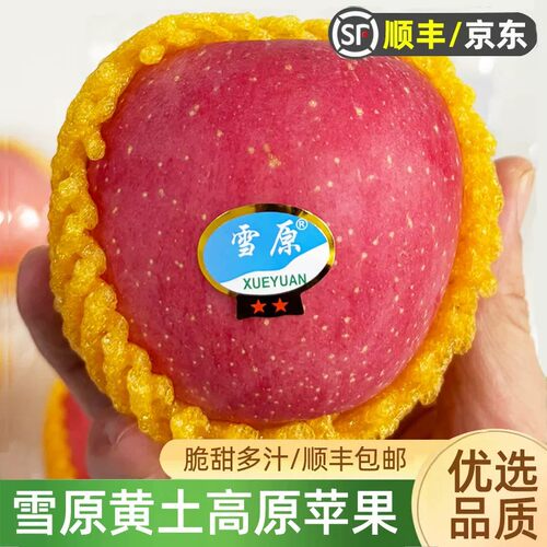 顺丰快递雪原红富士苹果全红脆甜多汁鉴赏型中果圣诞平安果