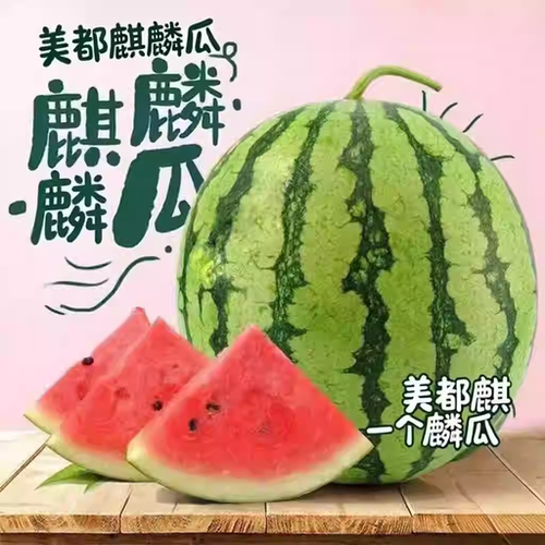 云南麒麟西瓜新鲜水果美都麒麟瓜8424西瓜薄皮多汁4-9斤包邮