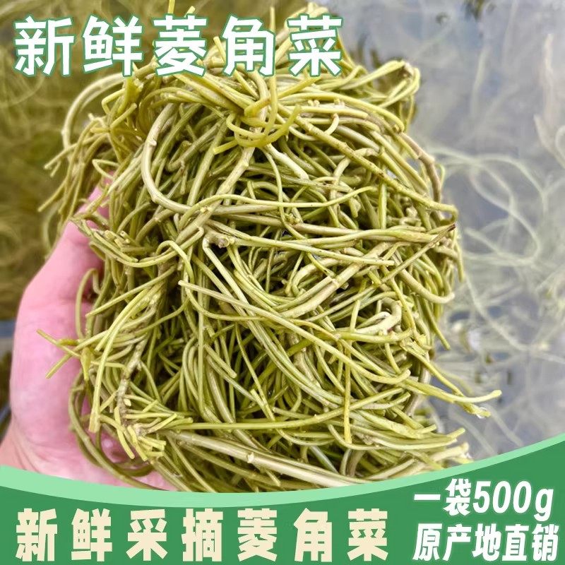 菱角菜凉菜新鲜采摘安徽特产南漪湖水生野生棱格角菜水生菱角菜蔬,水产肉类/新鲜蔬果/熟食,其它,淘宝优惠券,粉丝福利购,淘宝优惠卷