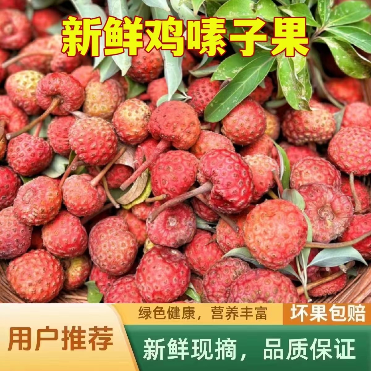 云南野果鸡嗉子鸡素子野荔枝山荔枝四照花果石枣水杨梅新鲜水果1