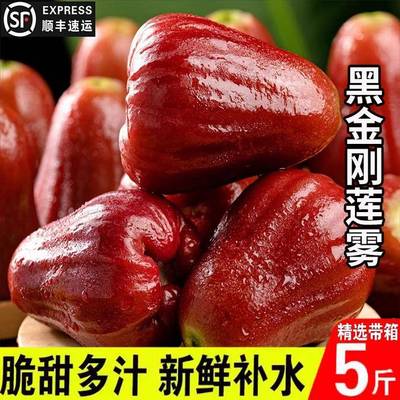 【顺丰可选】正宗黑金刚莲雾果新鲜水果莲雾水果带箱3-5斤包邮