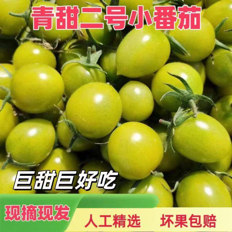 正宗青甜2号小番茄脆甜多汁新鲜青霞圣女果非青口蜜水果顺丰包邮