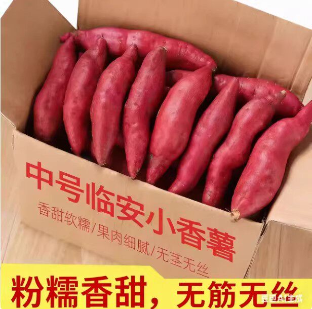 正宗临安天目山小香薯拇指小红薯新鲜地瓜板栗山芋番薯5迷你直发