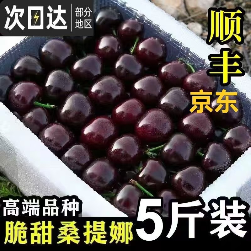 【顺丰京东冷链】车厘子2025水果新鲜樱桃桑提娜脆甜多汁整箱批发,水产肉类/新鲜蔬果/熟食,车厘子/樱桃,淘宝优惠券,粉丝福利购,淘宝优惠卷