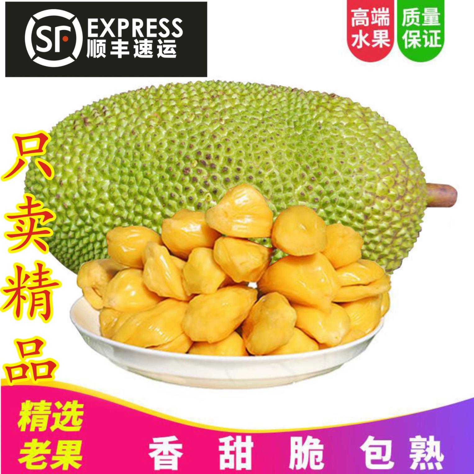 【顺丰速运】海南三亚菠萝蜜黄肉当季节特产新鲜水果一整个包邮红图片