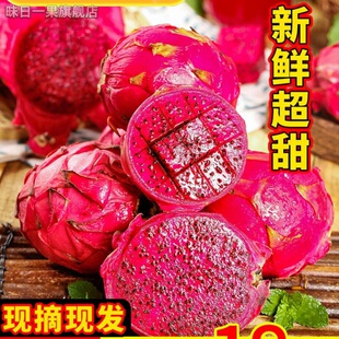 水果红心火龙果现摘坏果包赔新鲜红龙果