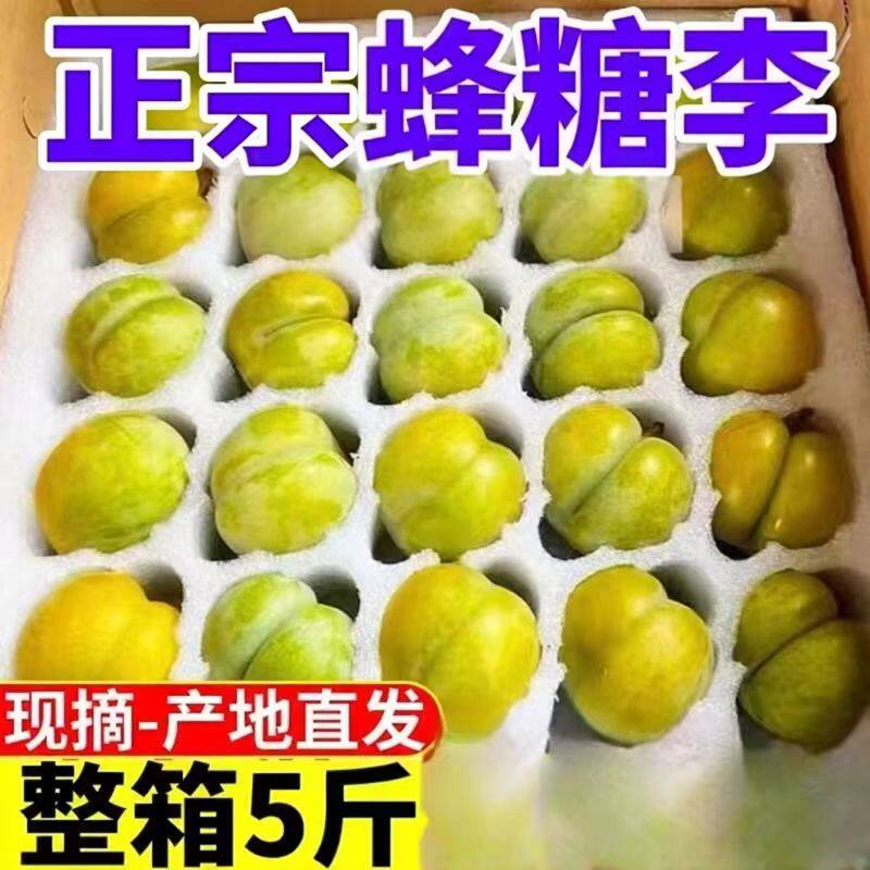 贵州高山六马蜂糖李当季现摘蜂蜜脆李新鲜脱骨李子水果5斤装