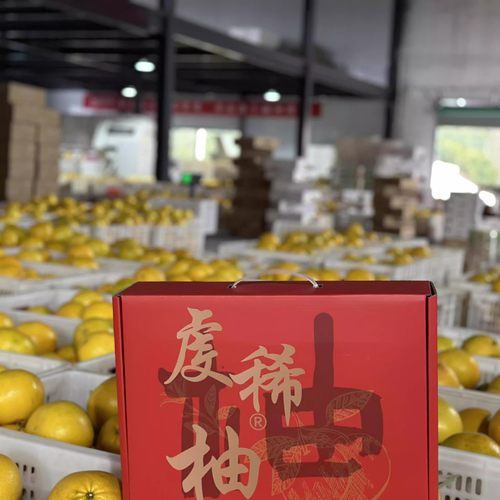 【现摘现发】正宗虔稀柚五斤装礼盒现摘现发