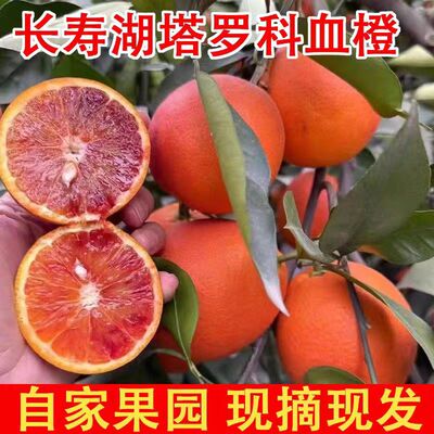 正宗塔罗科血橙子纯甜新鲜四川资中玫瑰香雪红橙当季水果9斤大果