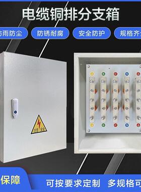 矿物电缆T接箱铜排分支接线 线端子分流箱bttrz国标等电位转接转