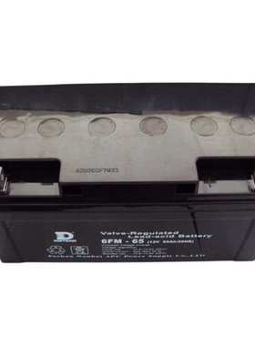 NIDEL蓄电池6FM--65 12V65AH 通讯设备 直流通信 质保三年