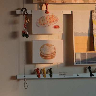 钢丝照片墙金属架简约现代不锈钢墙上壁挂架艺术展示杂志架书报架