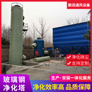 化工酸雾净化塔 定制玻璃钢净化塔工业喷淋塔厂家 废气处理设备