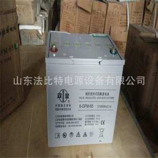含税运 40通讯电源12V40Ah轨道交通 双登铅酸蓄电池6 GFM