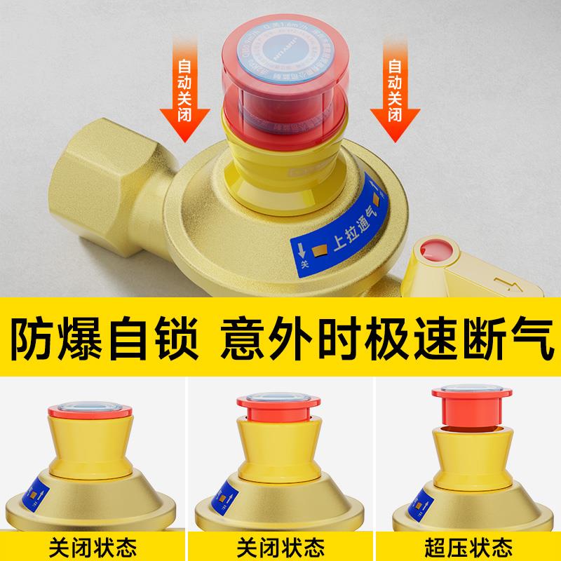 家用天然气燃气管道自闭阀漏气自动断气保护泄露防漏安全阀门1384
