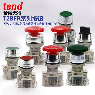 原装台湾天得Tend急停30平头选择T2SS开关T2BFG-1A按钮BKR-1带灯