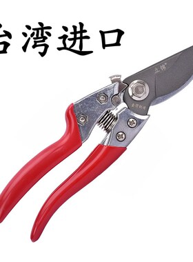 台湾进口SK5钢修枝剪园林果树剪刀粗枝花剪省力树枝修花园艺剪刀