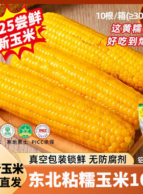 【10根装/3000g】正宗东北当季黄糯玉米非转基因0添加甜粘糯玉米